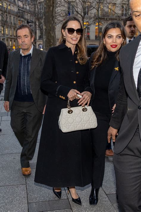 angelina jolie dior bag.